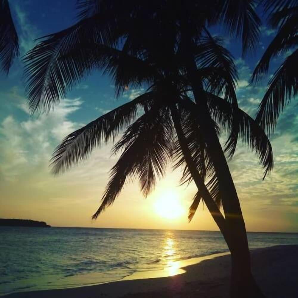 Moonshell Residence Property Grounds