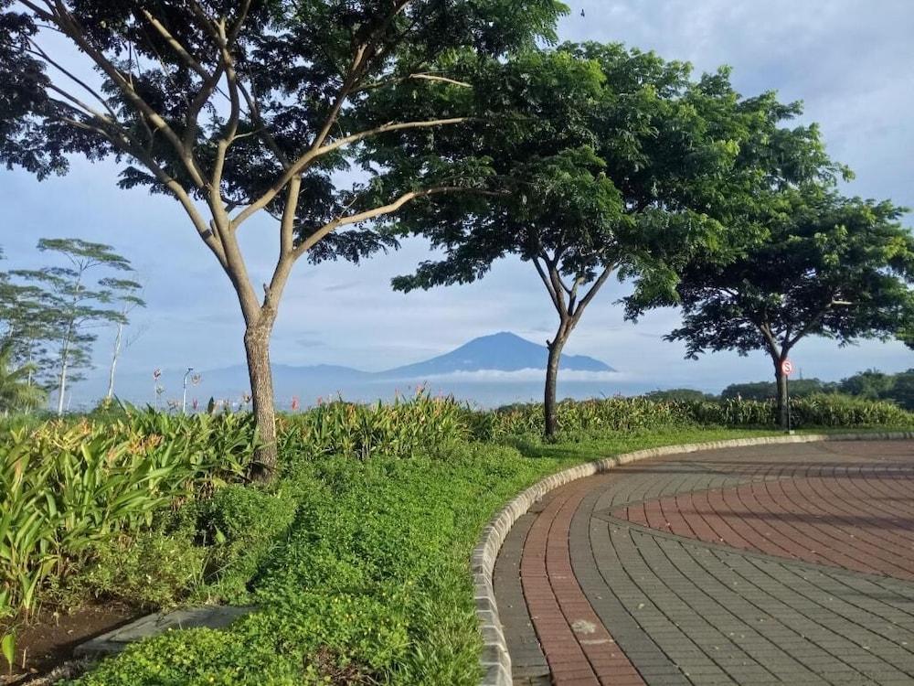 ذا فالي جيست هاوس