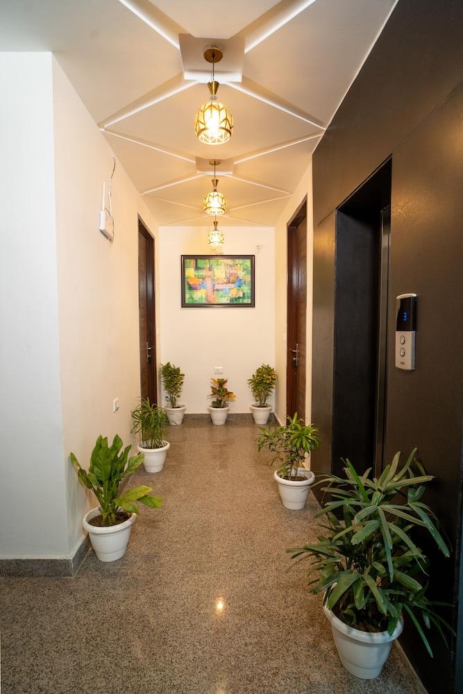 ذا لبد رز، هو آكد كيشسيرو يسد أبارتمنت داخلي