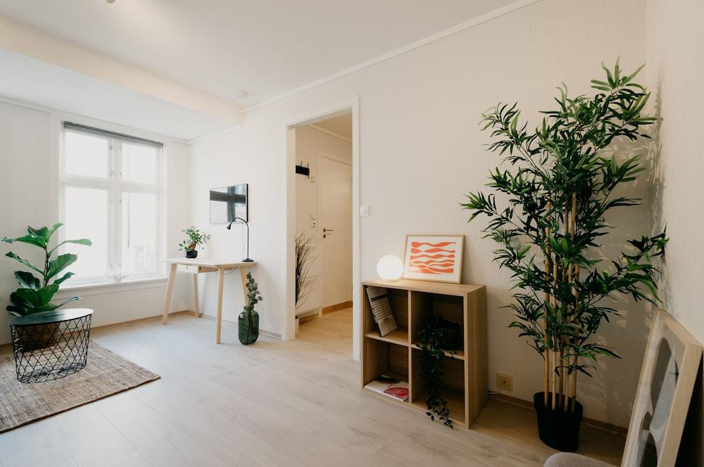 بيرجين بدز - ستوديو جراوند ليفيل غرفة