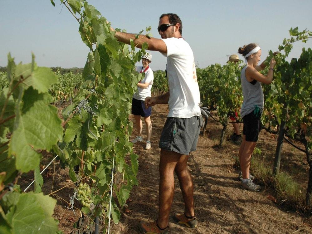 دوبليكس أبارتمنت كلوس ذا كانتري سايد أوف روم 5 المنطقة المحيطة بالمنشأة