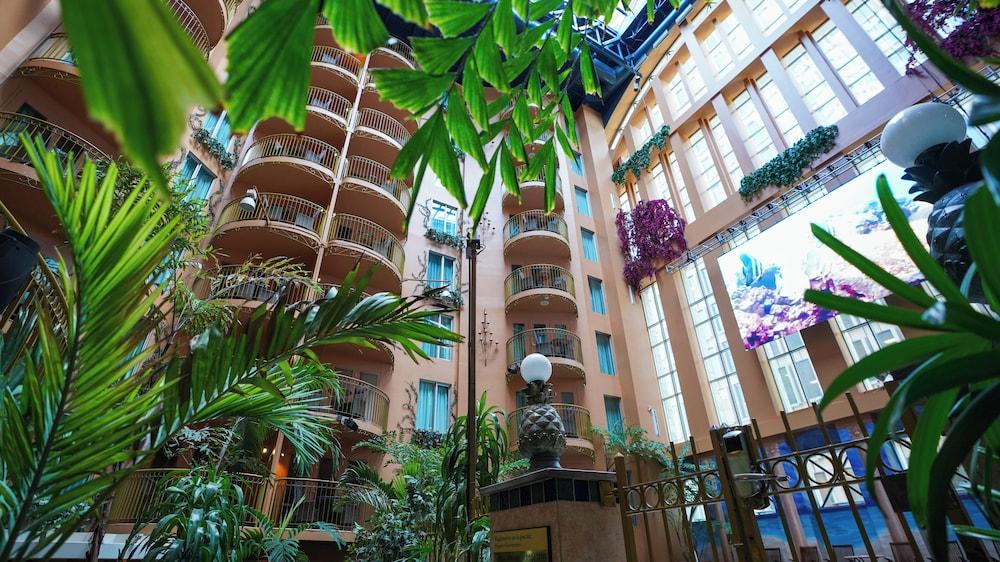 أوتل بالاس رويال سنتر-فيل بار جارو تفاصيل الفندق من الداخل