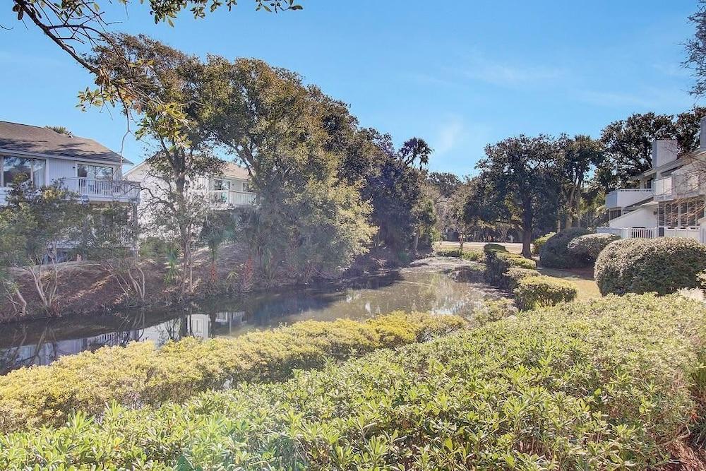 راكيت كلوب 6 باي وايلد ديونز، إن ريزورت كور الصورة الأساسية