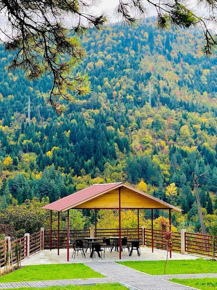 هوليداي بورجومي