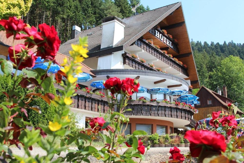 هوتل وينترهالدينهوف المنطقة الخارجية