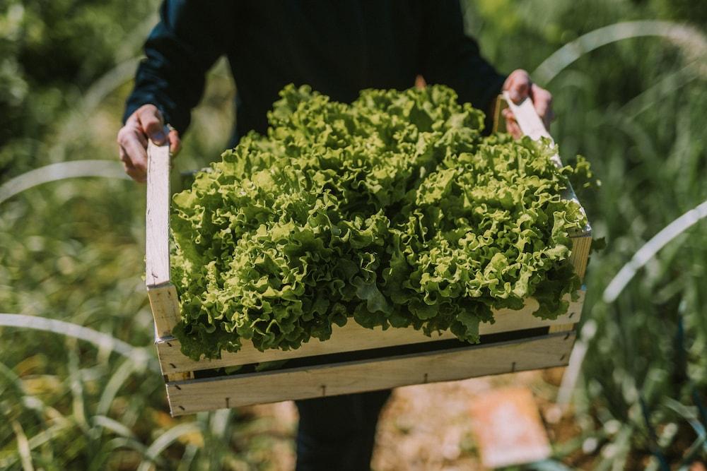 هوتل جراد أوتوسيك ريليه آند شاتو المنطقة الخارجية