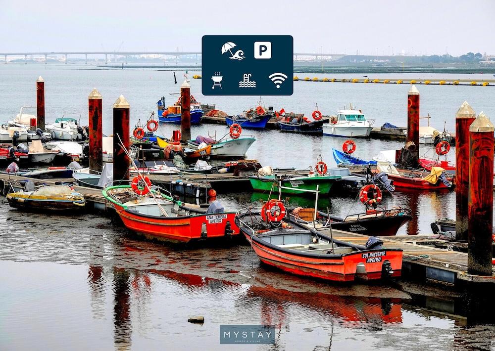 باربيكو إي سالا دي جوجوس - فاجوس مي ستاي