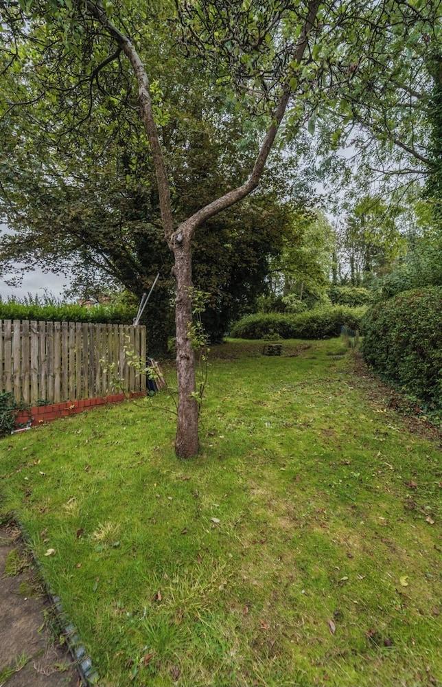 إماكوليتي 1 بد أبارتمنت إن بيرمينغهام المنطقة المحيطة بالمنشأة