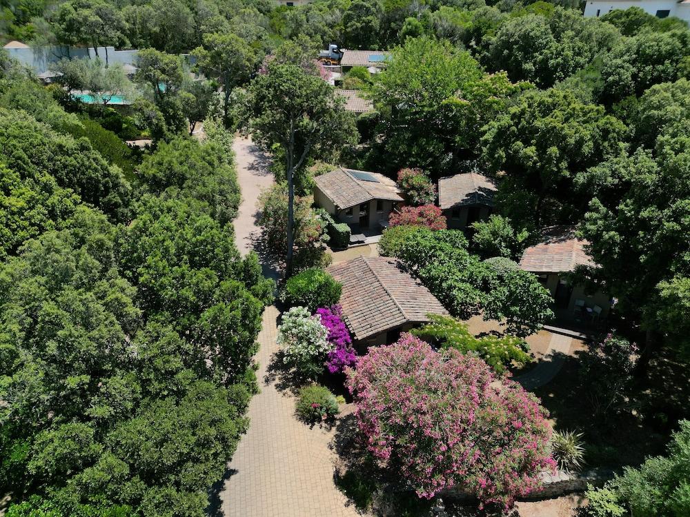 Résidence Sophia Aerial View