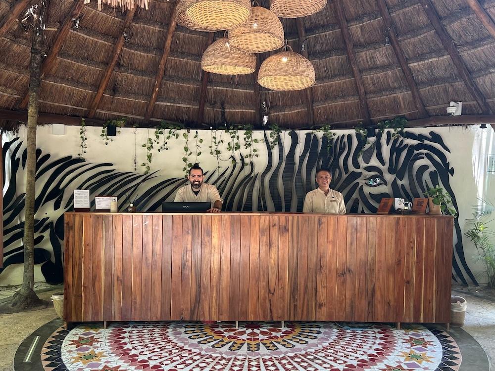 لا زيبرا تولوم - إيه سمول لاكشري هوتل منطقة الاستقبال