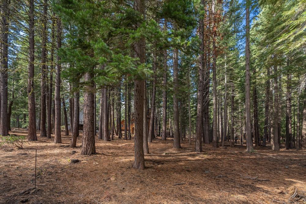 تاهو دونر كابين إن ذا وودز باي سييرا جيتاوايز المنطقة الخارجية