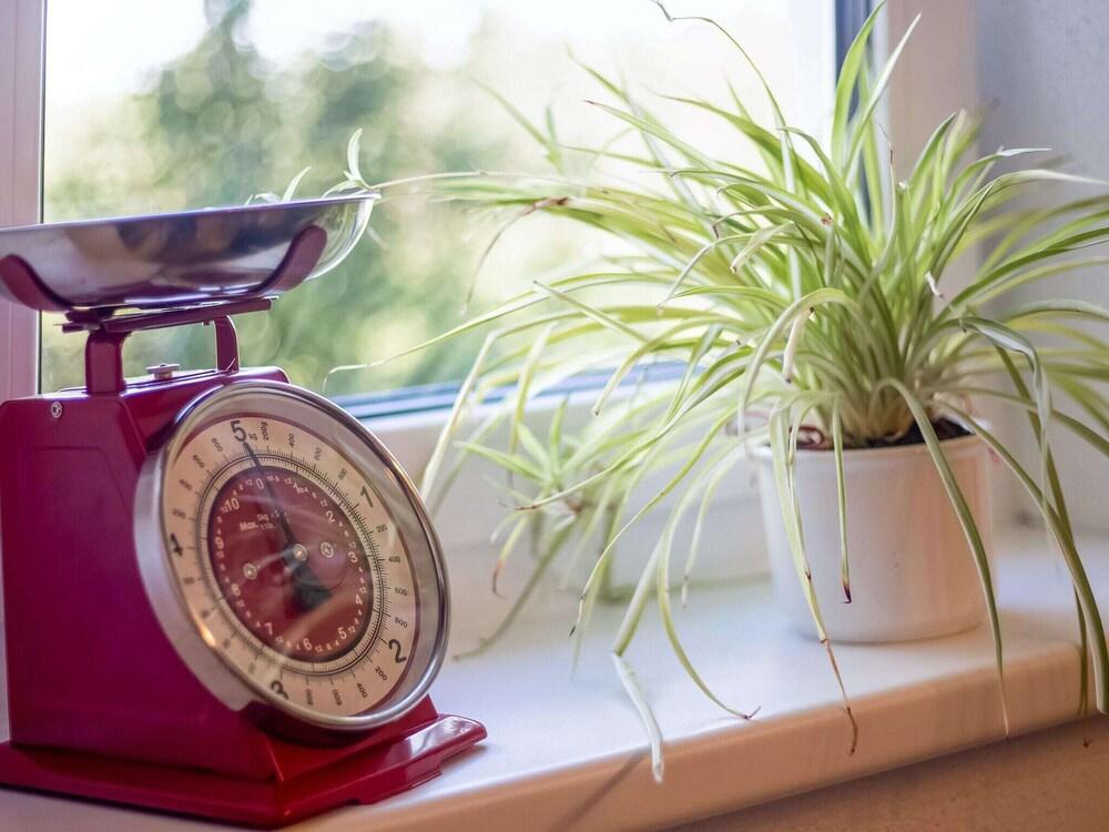 كوزي أبارتمنت ويذ تيريس آند جاردن أكسيس إن إه كويت ووديد أريا تفاصيل الفندق من الداخل