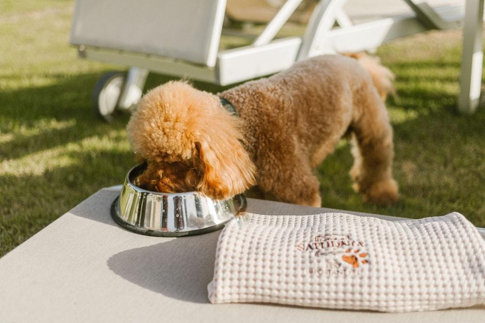 تيرمو دي ساتورنيا نيتشر سبا آند جولف ريزورت - ذا ليدينج هوتلز أوف ذا وورلد المنطقة الخارجية