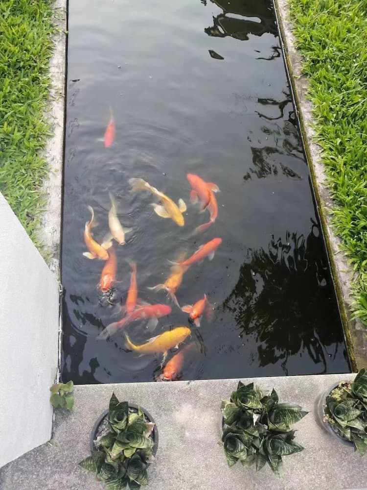 Hong Feng 168 Villa Hotel Exterior
