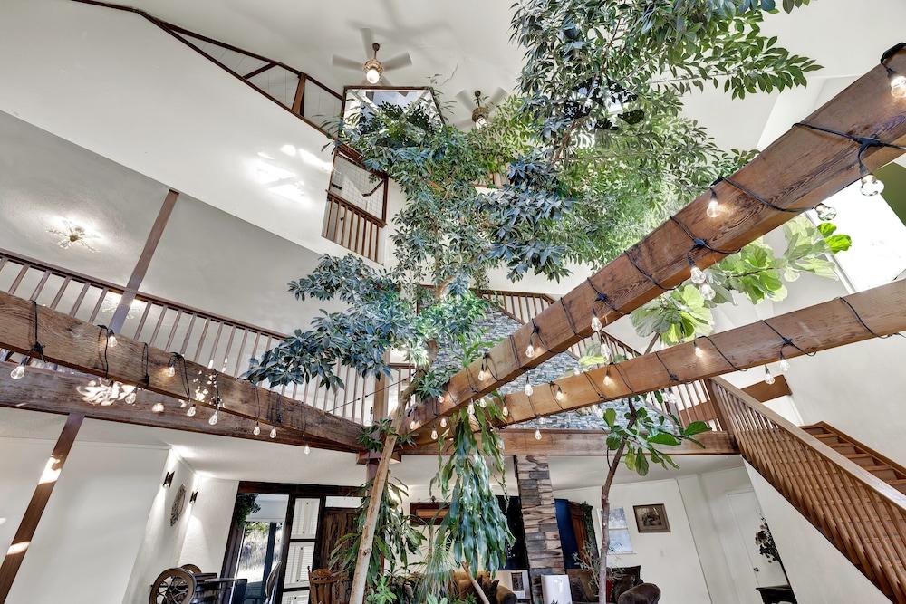 يونيك جوديسيك دوم هاوس 5 مي تو نتون فريد!