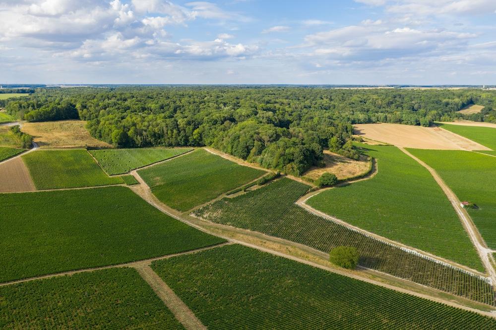 كومبينج دو شالون أون شومباني المنطقة الخارجية