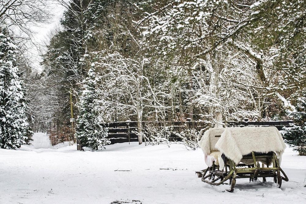 كومفورتابل هوليداي هوم إن ذا ميدل أوف أه فوريست المنطقة الخارجية