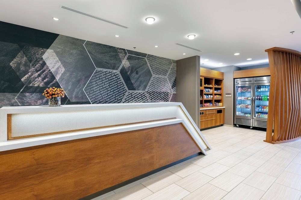 سبرينج هيل سويتس باي ماريوت تشاتانوغا ساوث/رينغ غولد، جورجيا منطقة الاستقبال