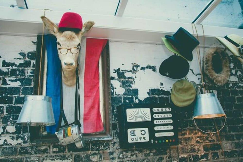 2 بد روم هاوس نيكست تو ذا سي، لوتس أوف فان! المنطقة الخارجية