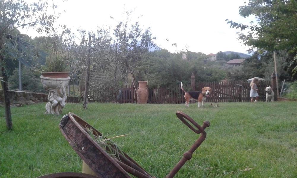 بد آند بريكفاست إل فيودو المنطقة المحيطة بالمنشأة