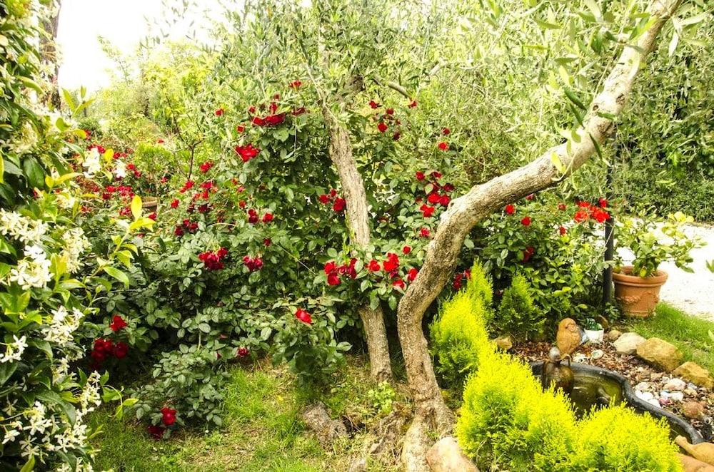 بيلفيلا باي أو واي ٔ رمهاوس إن مونتايون المنطقة الخارجية