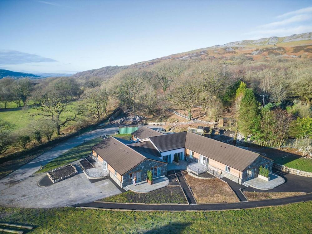 روم 14 - ذا سليبينج جيانت - بن إي كاي إن غرفة