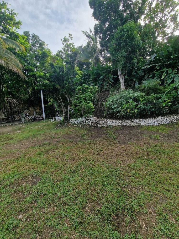 بوتيك بي آند بي آت ستونفيليدج المنطقة الخارجية