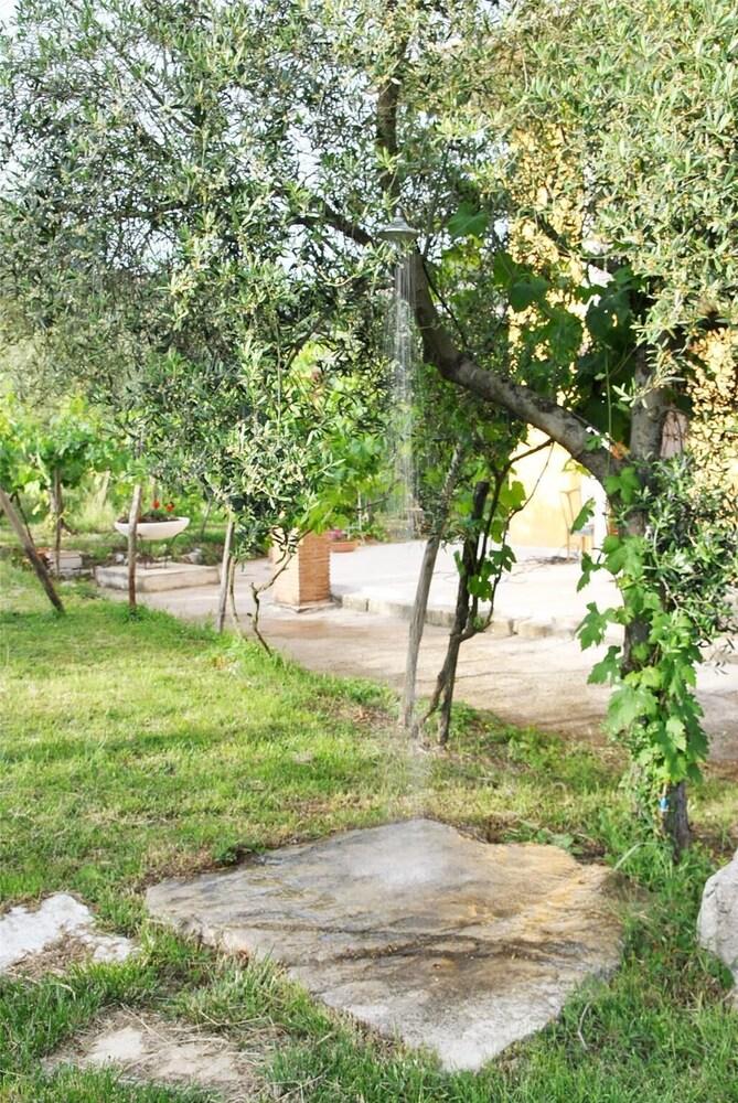 ميريديانا هوليداي هاوس ويذ شيرد سويمينج بول المنطقة المحيطة بالمنشأة