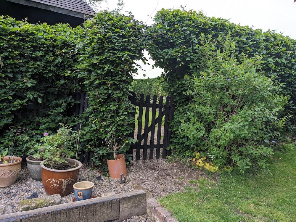 رستيك لوج كابين - دوج فريندلي - سليبس 2 - فيوز المنطقة المحيطة بالمنشأة