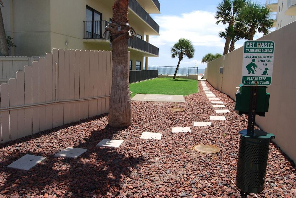 ذا بالمز 611 - ثري بيد روم كوندو باي ريدونينج المنطقة المحيطة بالمنشأة