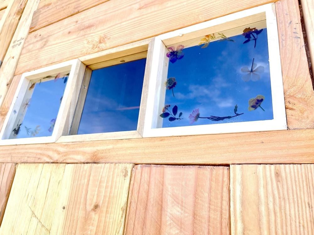 بيسيكير تينتس آند كامجراوند المنطقة الخارجية