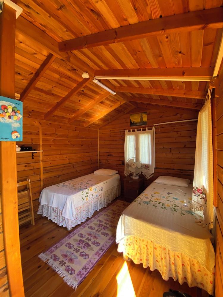 آيدينيز بانسيون الصورة الأساسية