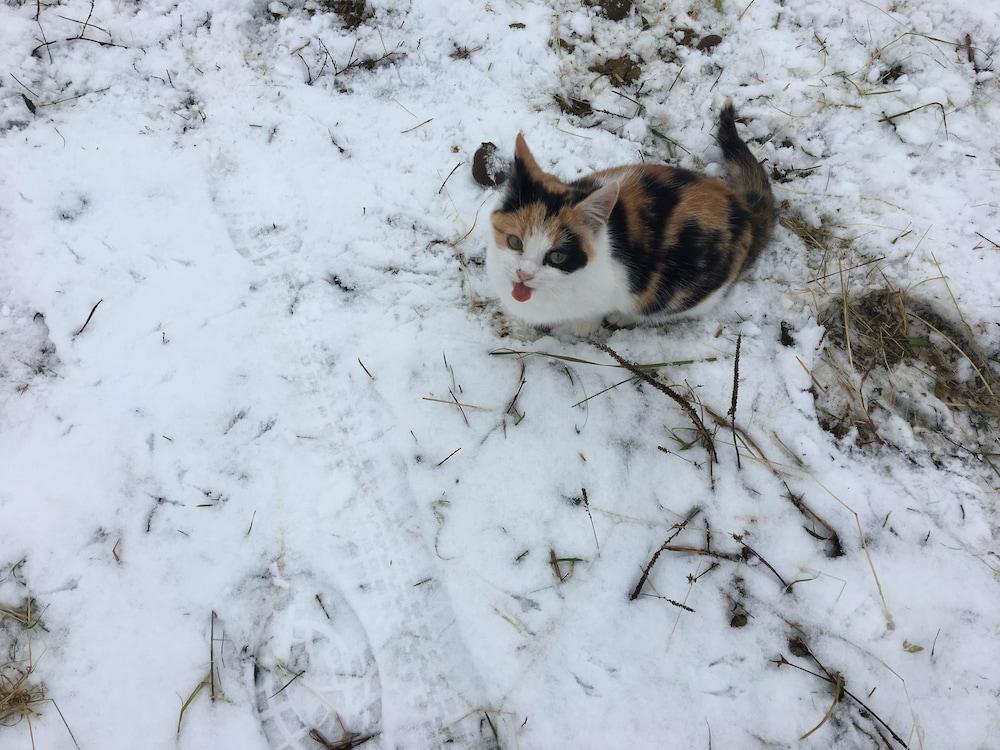 فاميلي فريندلي هوليداي هوم إن أليم أوبرجد ويذ جاردن المنطقة الخارجية