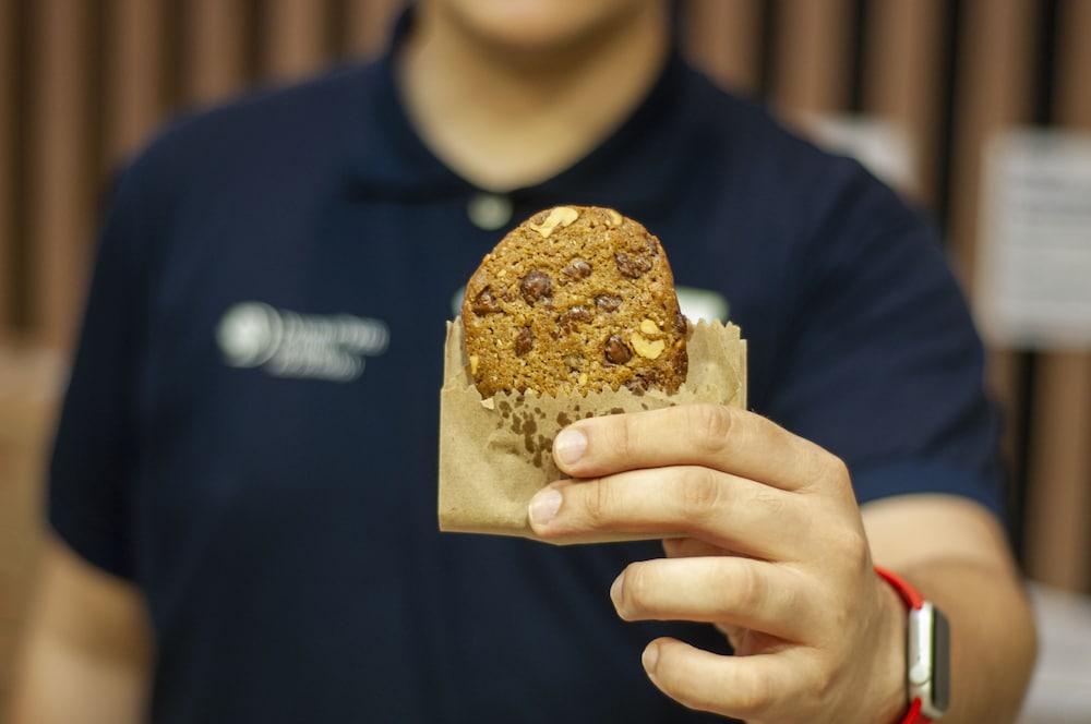 دبلي تري باي هيلتون - ريزورت - فوز دو إغواكو منطقة الاستقبال