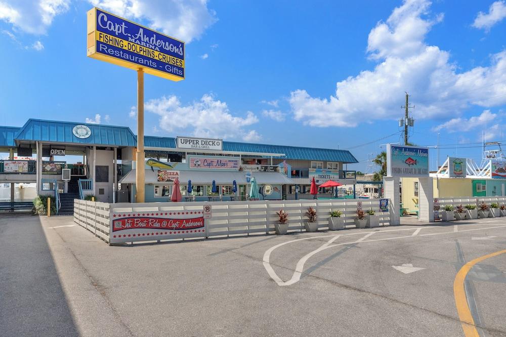 باينابل بارادايس! 6بد روم بام بيرتش فرونت هاوس! برايفت بول! جريل! سليبس 16! المنطقة الخارجية