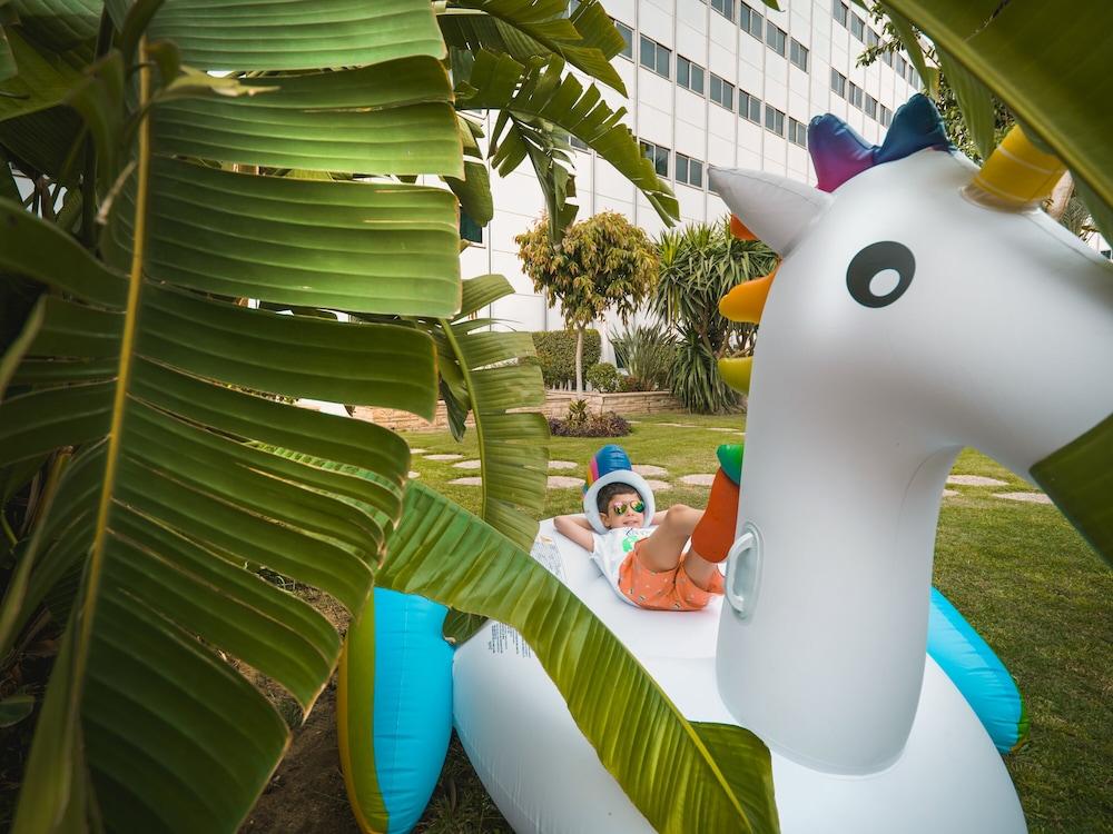 هيلتون القاهرة هليوبوليس المنطقة الخارجية