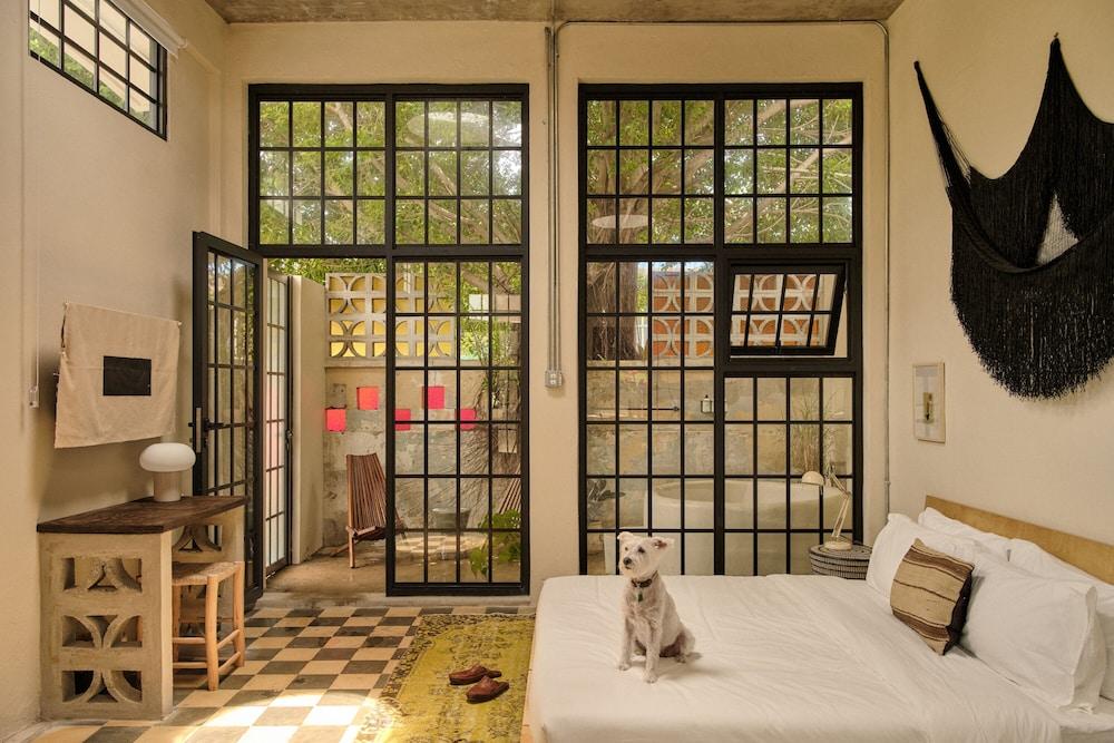 باسي اي ي دليت