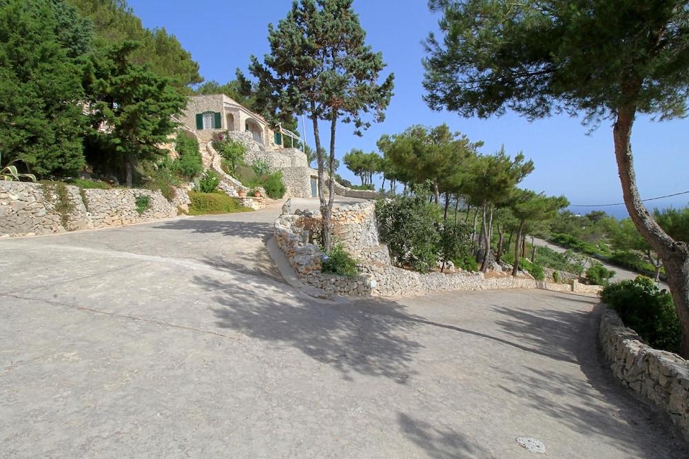 بيلفيدير 1 لوكس بول هاوس المنطقة المحيطة بالمنشأة