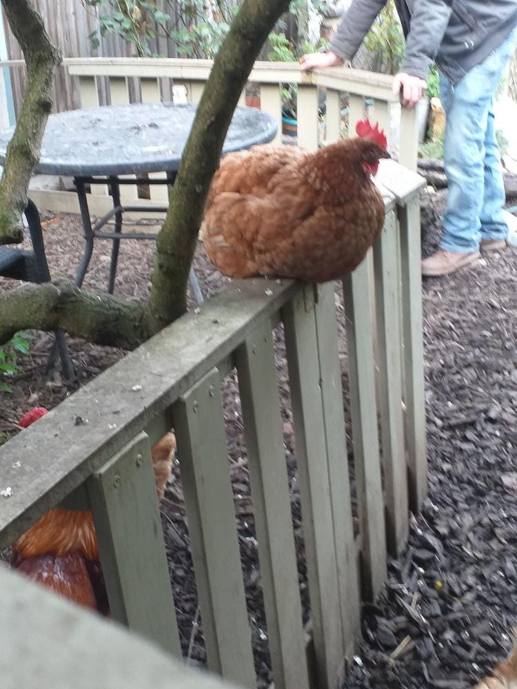 جيسموند فيجي بي آند بي المنطقة الخارجية