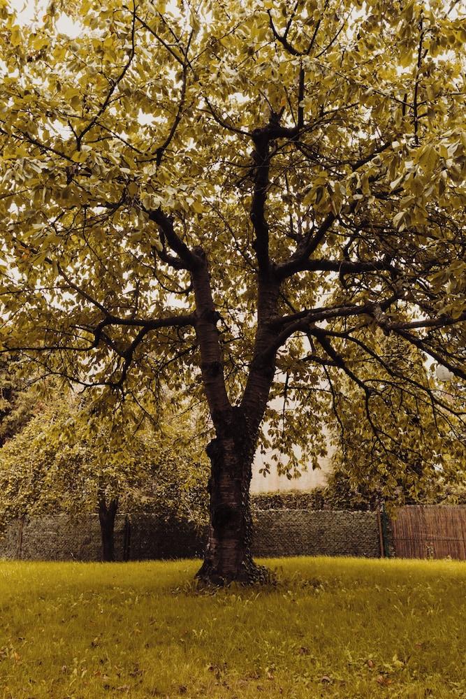 جرين هيل جدينيا أورلوو المنطقة الخارجية