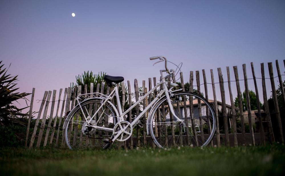 لا بوتيت كورون، إيكولودج آند لوفتس المنطقة الخارجية