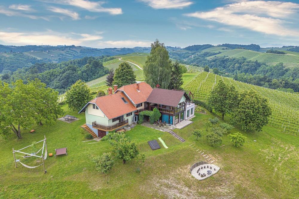 ويلنيس فاينيارد كوتيدج بوريس المنطقة الخارجية