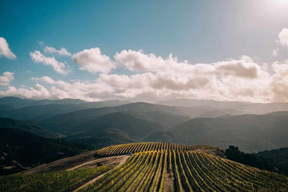 هولمان رانش إيستايت فاينيارد آند وينري المنطقة المحيطة بالمنشأة