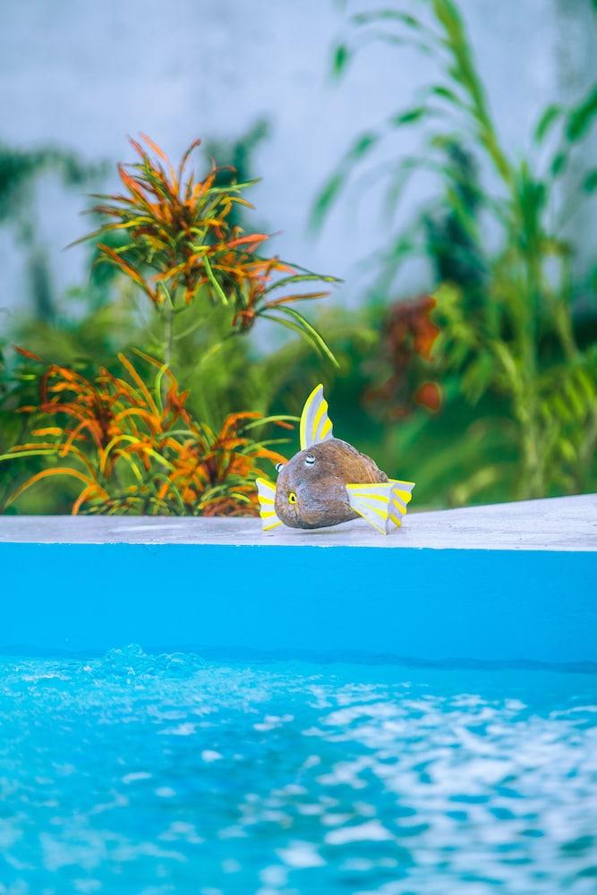 لا بيرلا بيتش ريزورت، زانزيبار - يور بيتشفرونت برايفت هافن زحليقة مائية