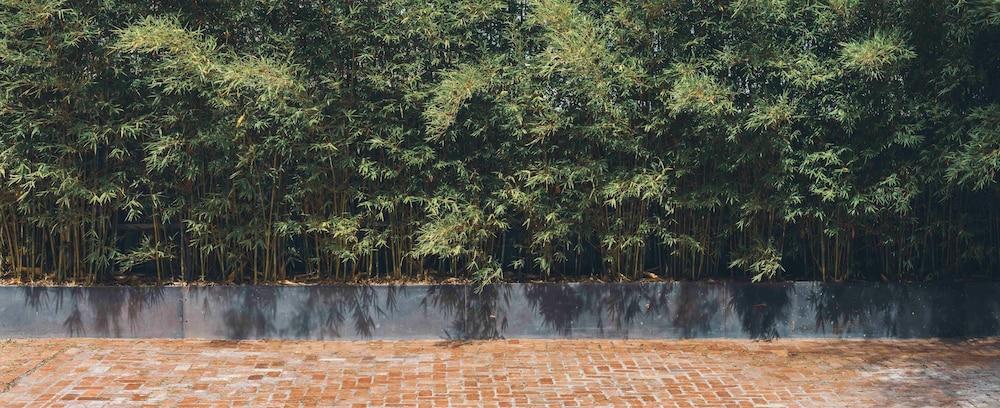 إن ذا بريك سبا آند هوتل المنطقة الخارجية