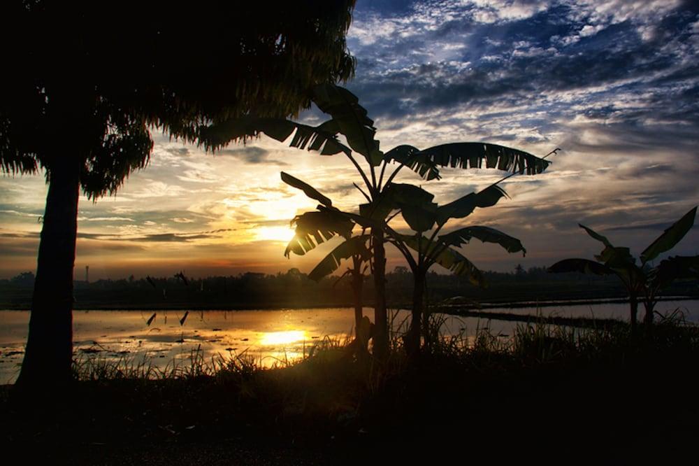 نجيلوونجان بوتيك فيلا المنطقة المحيطة بالمنشأة