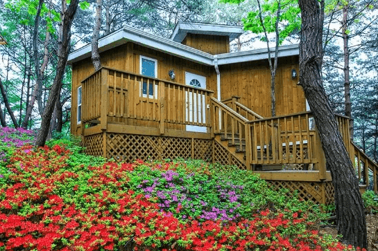 هوينجسيونج فورست لافرز ستار بنسيون