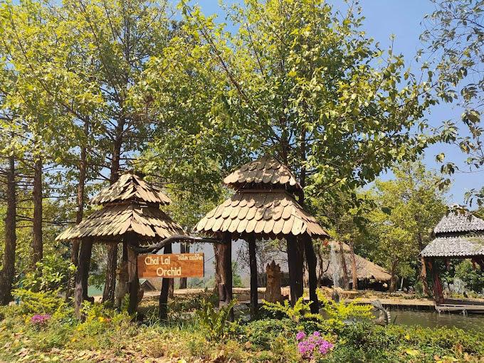 تشاي لاي أوركيد