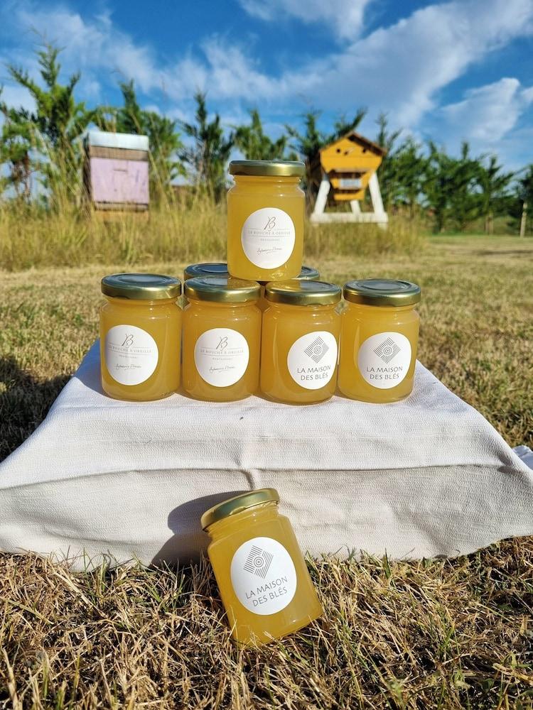 لوجيس- هوتل آند ريستوران لا ميزون ديه بليه المنطقة الخارجية