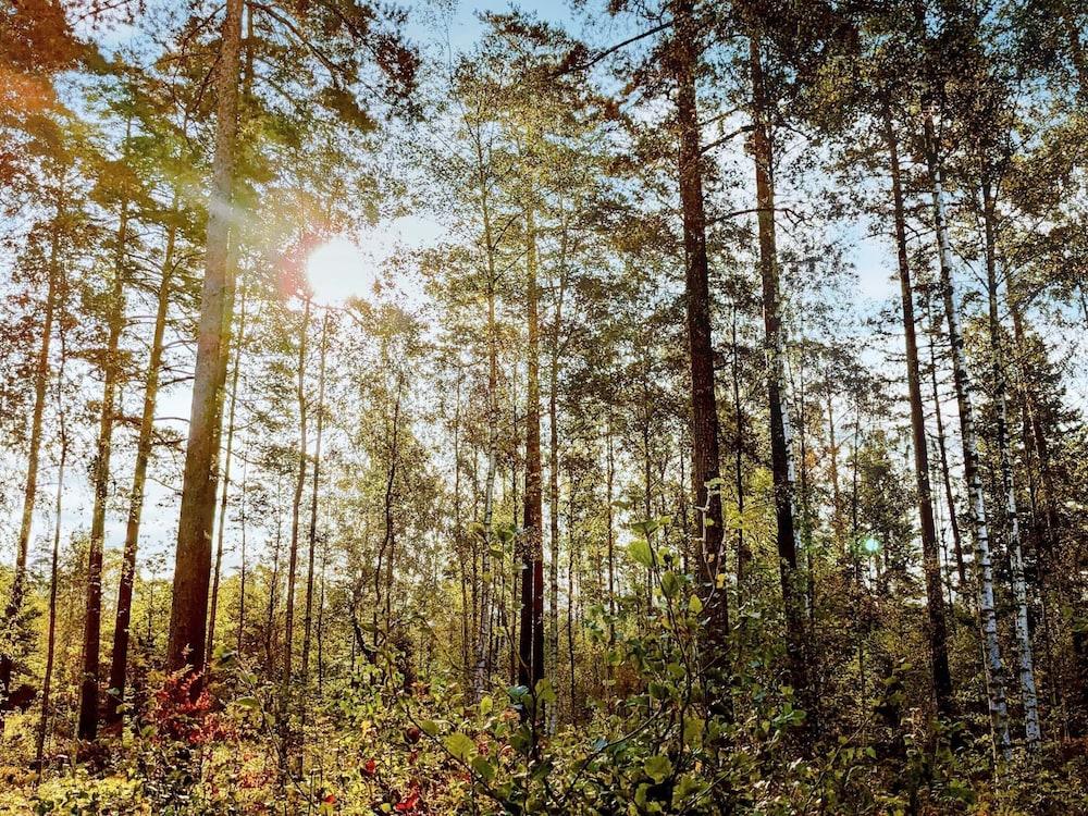 6 بيرسون هوليداي هوم ويذ جاردن باي تراوم المنطقة الخارجية